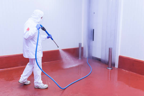 Reliable Sparks, GA  Pressure Washing Services Solutions